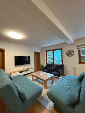 Montis Vlasic Apartment 1